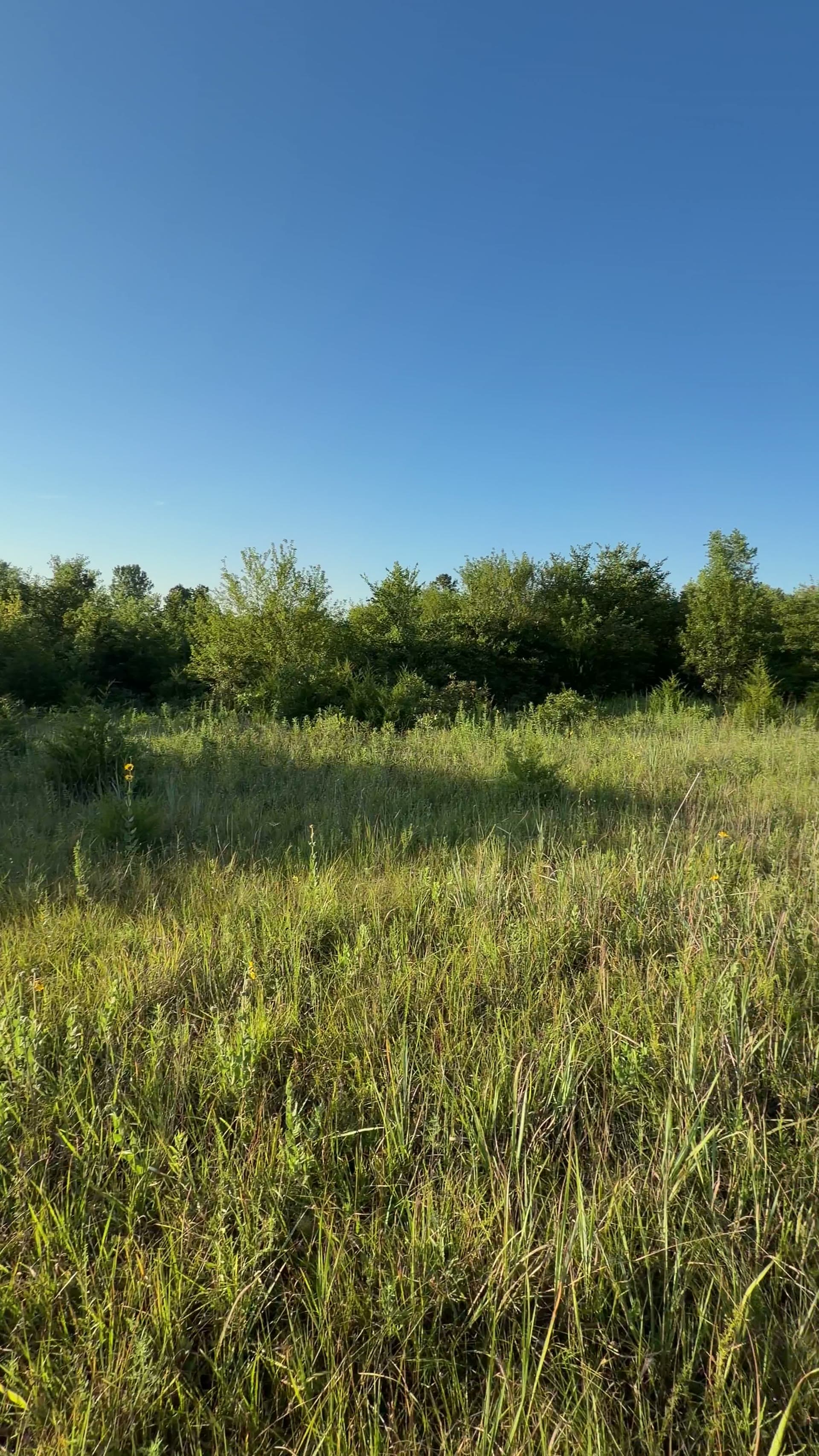 Land in Norman, OK - (South Track) in Norman, OK